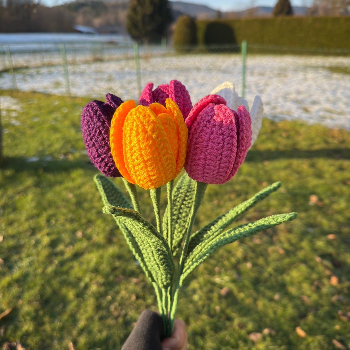đ·La Tulipe Au Crochet : Guide d'Apprentissage Pas Ă Pas đ·