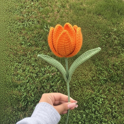 Tulipe