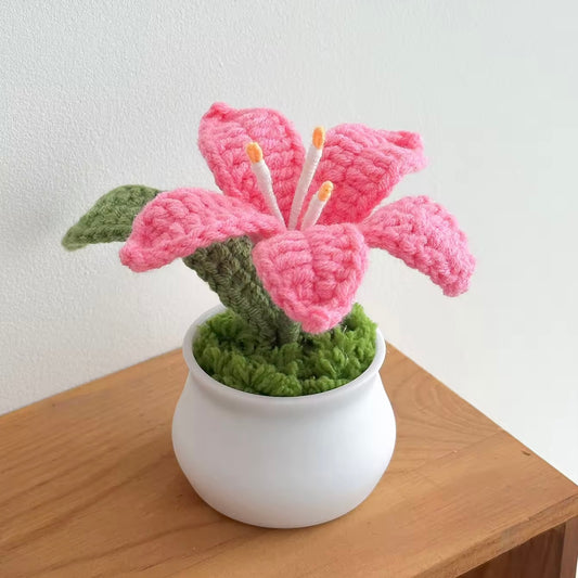 ⚜️ Mini Lys En Pot ⚜️