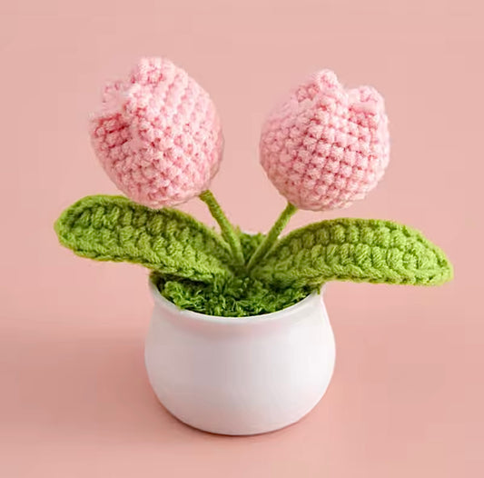🌷 Mini Tulipe en Pot - Duo 🌷