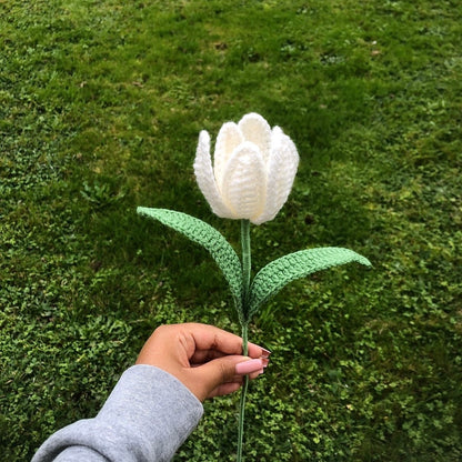 Tulipe