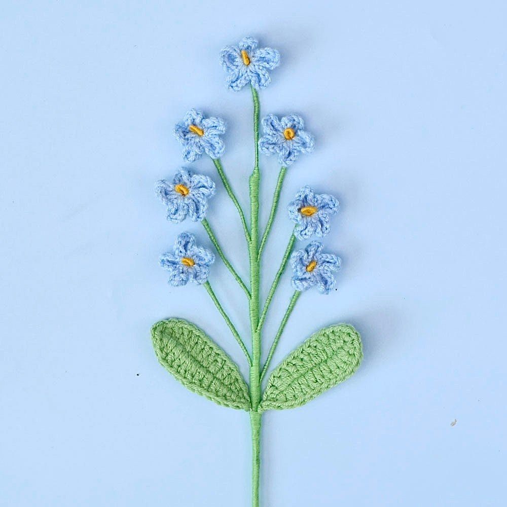 Myosotis