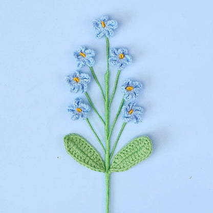 Myosotis